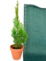 tkanina_cieniujaca_hdpe_220g_zielona_2_semer.jpg